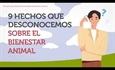 #RealidadGanadera: 9 hechos que no conoc�as sobre el bienestar animal