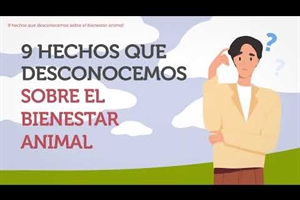 #RealidadGanadera: 9 hechos que no conoc�as sobre el bienestar animal