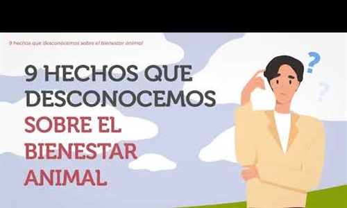 #RealidadGanadera: 9 hechos que no conoc�as sobre el bienestar animal