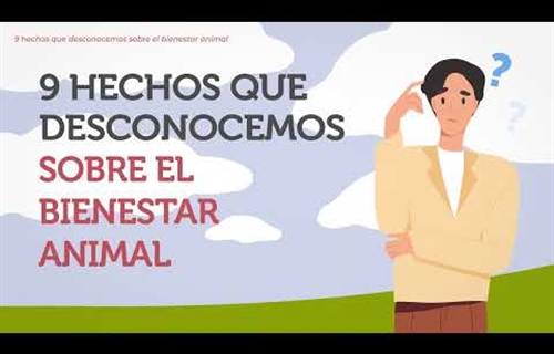 #RealidadGanadera: 9 hechos que no conoc�as sobre el bienestar animal