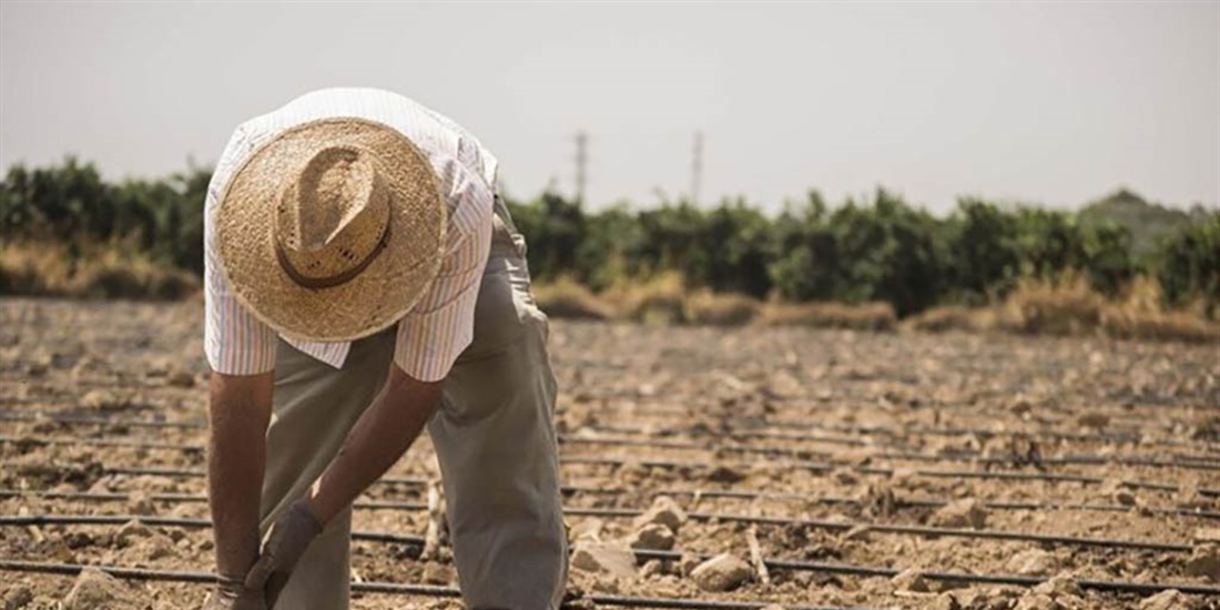 Uni�n de Uniones pide medidas ante la p�rdida de 11.000 explotaciones...