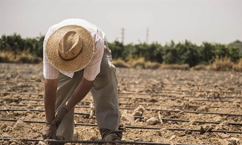 Uni�n de Uniones pide medidas ante la p�rdida de 11.000 explotaciones...
