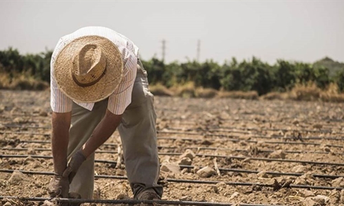 Uni�n de Uniones pide medidas ante la p�rdida de 11.000 explotaciones...