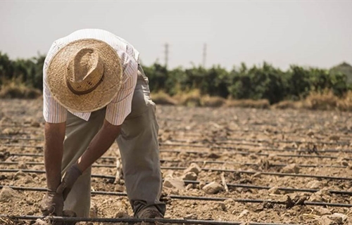 Uni�n de Uniones pide medidas ante la p�rdida de 11.000 explotaciones...