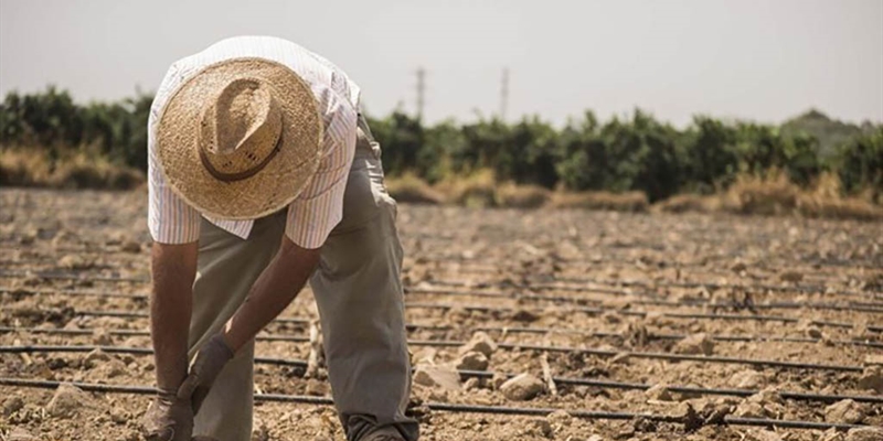 Uni�n de Uniones pide medidas ante la p�rdida de 11.000 explotaciones agrarias en 4 a�os