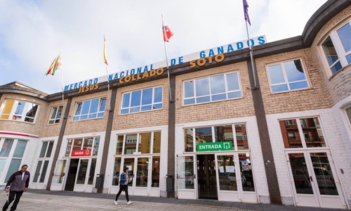 El Gobierno de Cantabria prolonga las medidas frente a la Dermatosis...