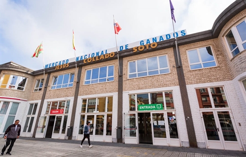 El Gobierno de Cantabria prolonga las medidas frente a la Dermatosis...