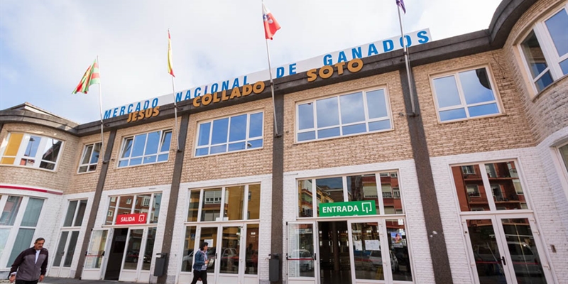 El Gobierno de Cantabria prolonga las medidas frente a la Dermatosis Nodular Contagiosa hasta el 31 de julio