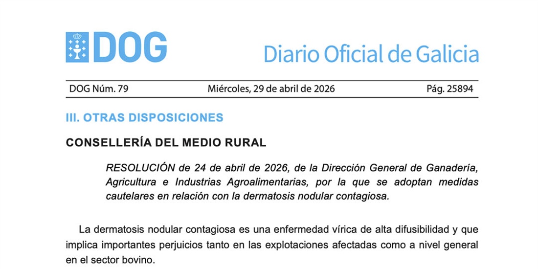 La Xunta prorroga las medidas preventivas ante la dermatosis nodular...