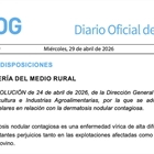 La Xunta prorroga las medidas preventivas ante la dermatosis nodular contagiosa para proteger la caba�a bovina de Galicia