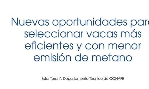Nuevas oportunidades para seleccionar vacas m�s eficientes y con menor...
