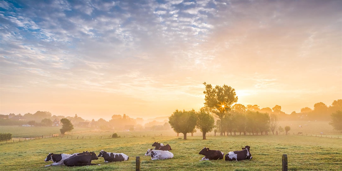 Elanco Animal Health completa la adquisici�n de AHV International en el...