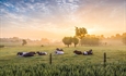 Elanco Animal Health completa la adquisici�n de AHV International en el �mbito de la salud animal
