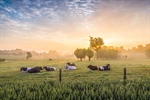 Elanco Animal Health completa la adquisici�n de AHV International en el �mbito de la salud animal