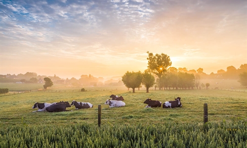 Elanco Animal Health completa la adquisici�n de AHV International en el...