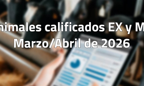 Animales calificados EX y MB en marzo y abril de 2026