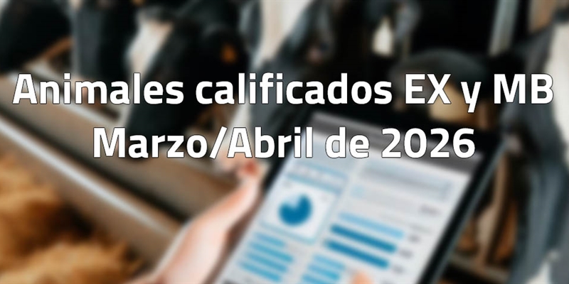 Animales calificados EX y MB en marzo y abril de 2026