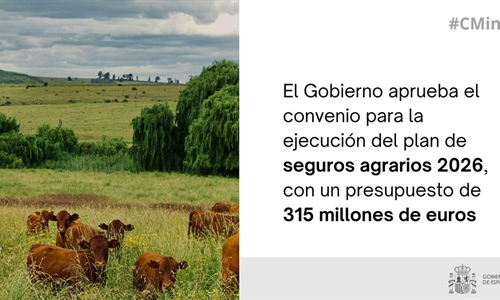 Luz verde al convenio para el plan de seguros agrarios 2026, con un...