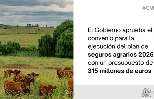 Luz verde al convenio para el plan de seguros agrarios 2026, con un...