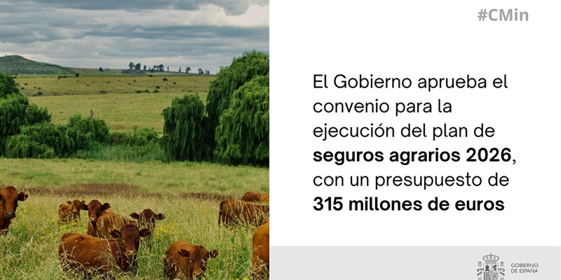 Luz verde al convenio para el plan de seguros agrarios 2026, con un presupuesto de 315 millones de euros