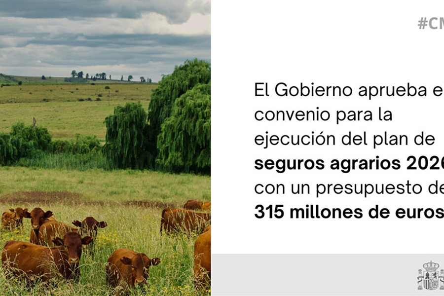 Luz verde al convenio para el plan de seguros agrarios 2026, con un...