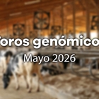 Nuevos toros gen�micos con Prueba Oficial: Evaluaci�n gen�mica mayo 2026