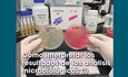 C�mo interpretar los resultados de los an�lisis microbiol�gicos (1)