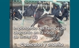 Importancia del tiempo de descanso en la vaca de leche (2): Cub�culos y orde�o