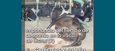 Importancia del tiempo de descanso en la vaca de leche (2): Cub�culos y orde�o