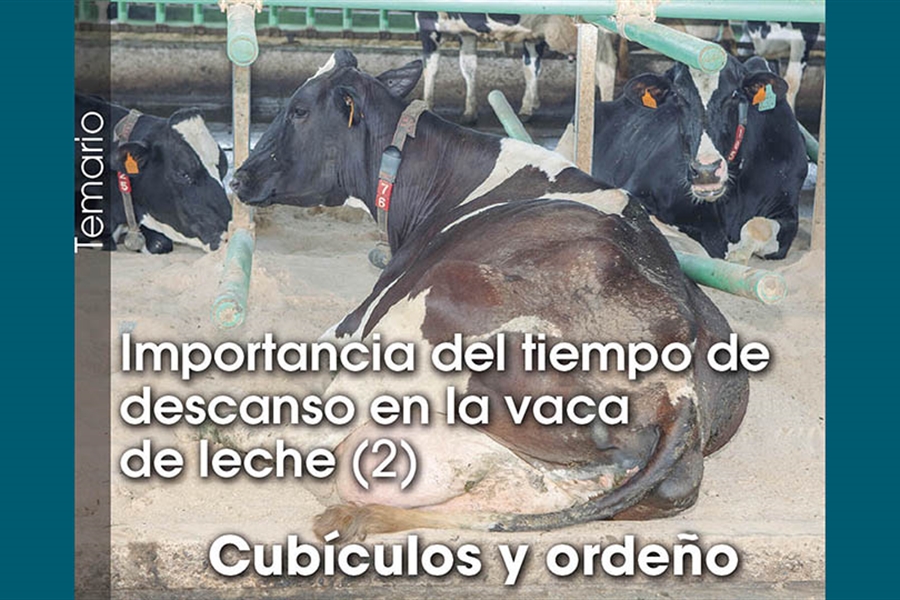 Importancia del tiempo de descanso en la vaca de leche (2): Cub�culos y...