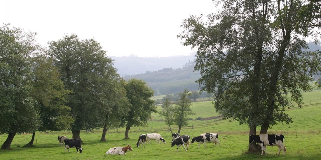 Catorce comunidades aut�nomas defienden ante la Uni�n Europea su...