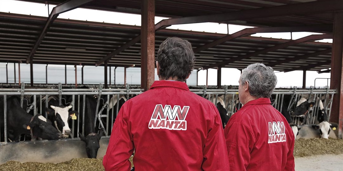 Nanta reduce un 73% el uso de antibi�ticos en pienso medicado para bovino