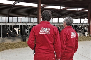 Nanta reduce un 73% el uso de antibi�ticos en pienso medicado para bovino