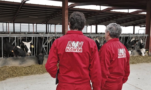 Nanta reduce un 73% el uso de antibi�ticos en pienso medicado para bovino