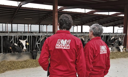 Nanta reduce un 73% el uso de antibi�ticos en pienso medicado para bovino
