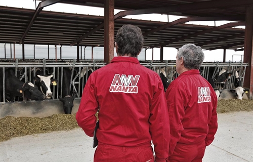 Nanta reduce un 73% el uso de antibi�ticos en pienso medicado para bovino
