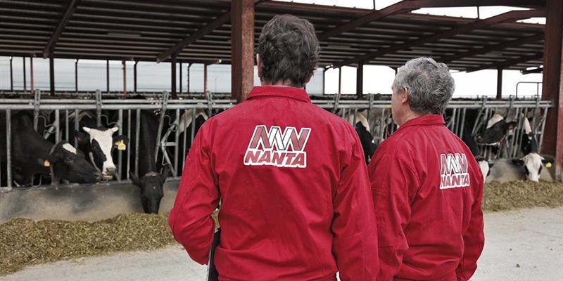 Nanta reduce un 73% el uso de antibi�ticos en pienso medicado para bovino
