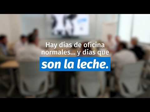 Elanco celebra el D�a Mundial de la Leche promoviendo el valor...