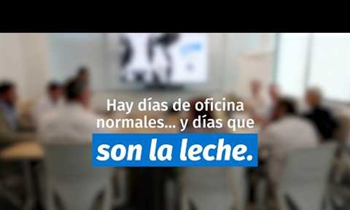 Elanco celebra el D�a Mundial de la Leche promoviendo el valor...