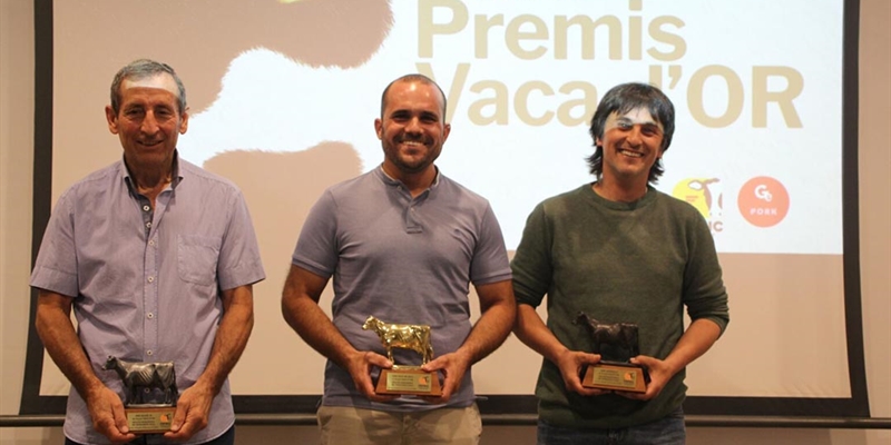 Can Thi� de Baix, JMD Allue y Mas Montells, mejores ganader�as de Catalu�a en los Premios Vaca d�Or