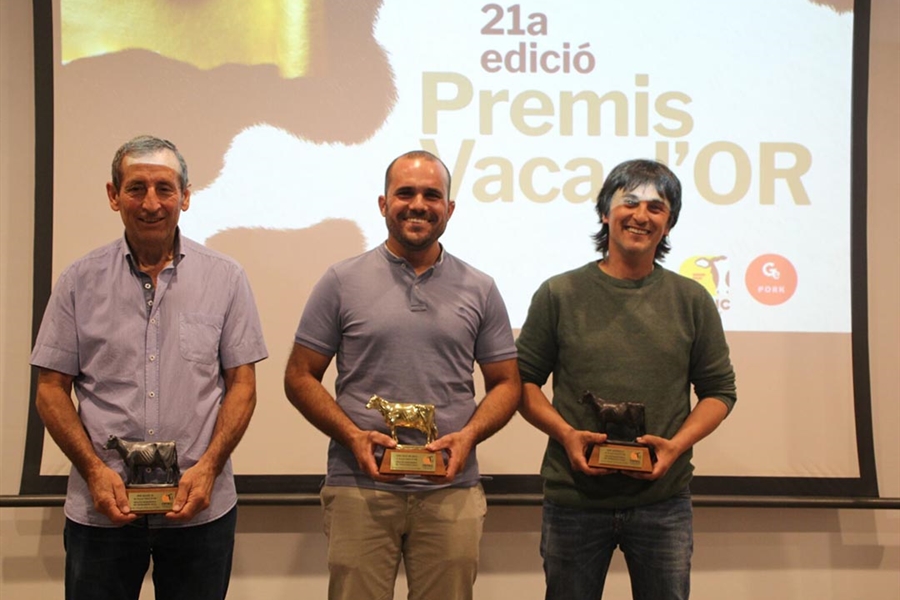 Can Thi� de Baix, JMD Allue y Mas Montells, mejores ganader�as de...