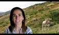 M�s all� de la carne: los animales como aliados del medio ambiente y las comunidades rurales. Entrevista con la Dra. Isabel Casas�s