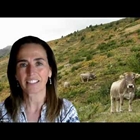 M�s all� de la carne: los animales como aliados del medio ambiente y las comunidades rurales. Entrevista con la Dra. Isabel Casas�s