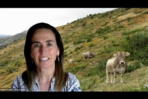 M�s all� de la carne: los animales como aliados del medio ambiente y las comunidades rurales. Entrevista con la Dra. Isabel Casas�s