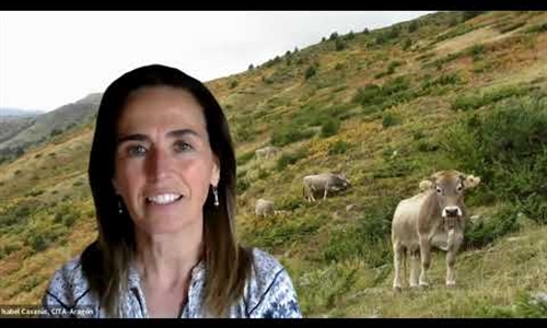 M�s all� de la carne: los animales como aliados del medio ambiente y...