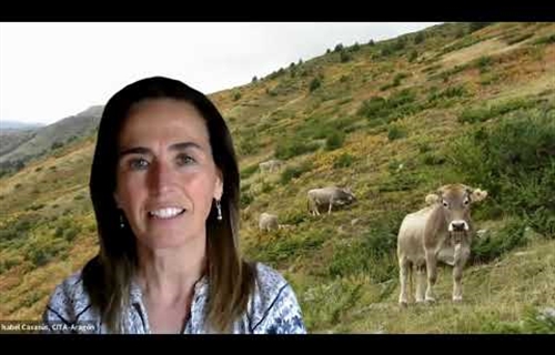M�s all� de la carne: los animales como aliados del medio ambiente y...