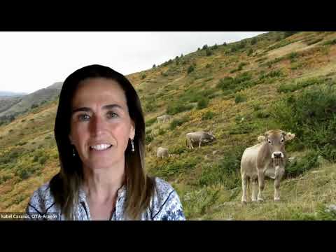 M�s all� de la carne: los animales como aliados del medio ambiente y...