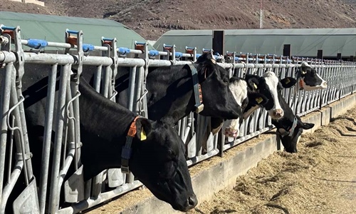 Canarias convoca ayudas a la producci�n e industria l�ctea por valor de...
