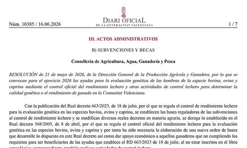 La Comunidad Valenciana destina 54.000 euros a mejorar la calidad y el...