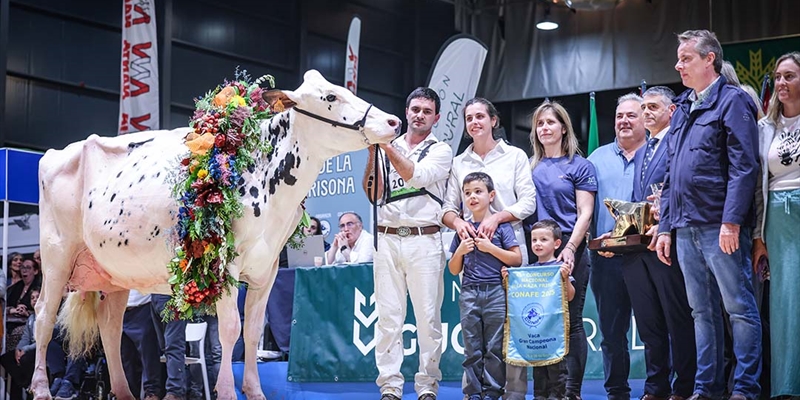 Cancelado el Concurso Nacional de la  Raza Frisona CONAFE 2026